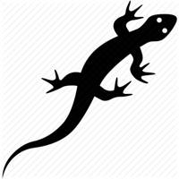 Effects of lizard falling on body parts
