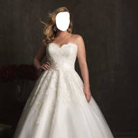 Wedding Salon Face Changer& Wedding dress Montage