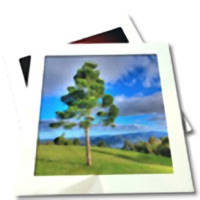 Album Photo Viewer – opposite