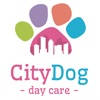 CityDog Daycare