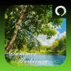Summer Ambience HD