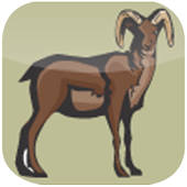 翻牌对对碰特色版-免费经典单机天天消消乐，休闲益智全民爱消除