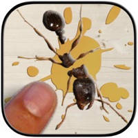 Blash Black Ants: Game For Kids Blash Black Ants: Game For Kids