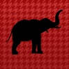Alabama Football News Alabama Football News