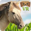 VR Horse Ride