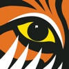 TigerTurf Sales