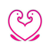 鹦鹉美家 鹦鹉美家