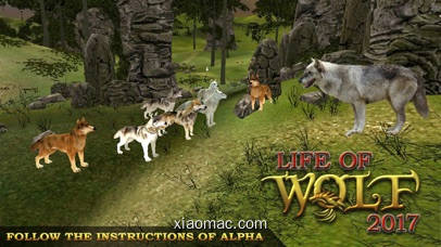 【图】Life Of Wolf Simulator : Hunt Feed and Grow wolves(截图1)