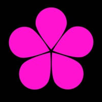 Benji – Japanese Learning & Dictionary