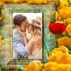 Flower Photo Frame – Art Photography & mega Frames