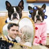 Funny Photo Frame – Free Pic and Photo Filter
