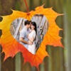 Nature Photo Frame – InstaFrame,Pic Editor