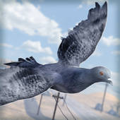 Bird Survival | Wing Sky Fly Tiny Simulator Game For Free