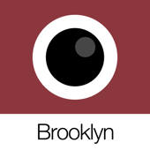 Analog Brooklyn (模拟布鲁克林) Analog Brooklyn (模拟布鲁克林)