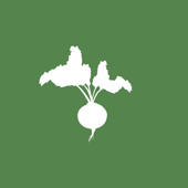 Sprout & Co Sprout & Co