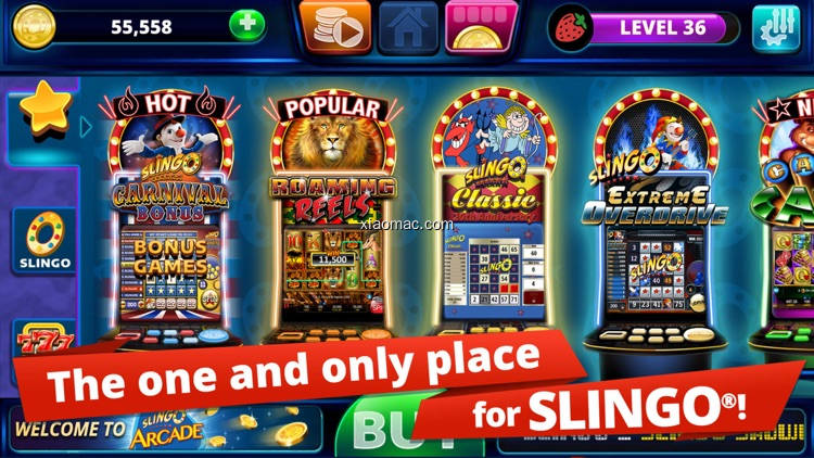 【图】Slingo Arcade – Bingo & Slots(截图 0)