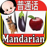 童装 中文 & 英语 闪 牌 ABC