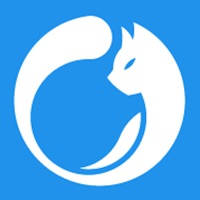 环境猫 环境猫