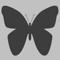 BrowseAPP