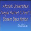 ATAUNİ SH 3A