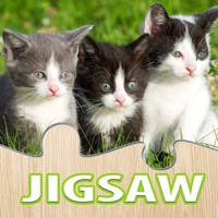 猫 谜 游戏 动物 拼图 谜题 为 成年人