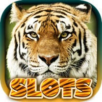 Wild Tiger Slots Machine Games Wild Tiger Slots Machine Games