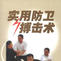 搏击术 搏击术