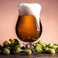 HomeBrew Beer Magazine – Brew Your Own Beer @ Home