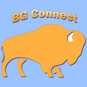 BG Connect – Service Requests