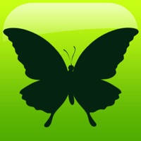 MY BUG – Augmented Reality MY BUG – Augmented Reality