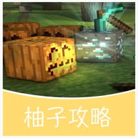 柚子游戏攻略 for 我的世界 minecraft
