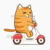 Kitty Cat – Cute Stickers for iMessage