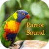 Parrot Sounds – Cockatoo,Caique,Kakariki