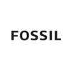 Fossil Stickers
