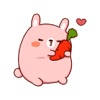 Cute Rabbit 2