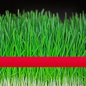 Countdown to Norooz