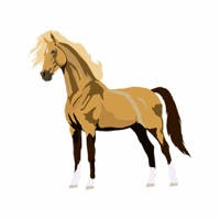 Realistic Horse Art – Horses, Arabian, Appaloosa