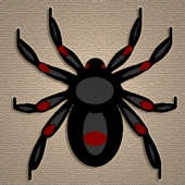 蜘蛛的方式 / The way of the Spider