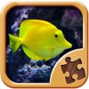 Cool Fish Jigsaw Puzzles – Fun Logical Games