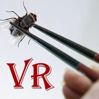 VR FlyMaster