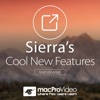 Course For Sierra’s Cool New Features