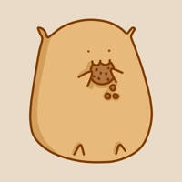 Mr Hamster