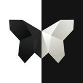 ◈ Symmetry: Path to Perfection ◈ Symmetry: Path to Perfection