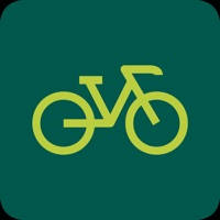 GynDebike