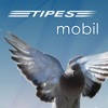 TIPES mobil TIPES mobil