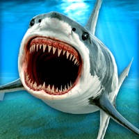 Killer Jaws Evolution: Shark Attack 3D Killer Jaws Evolution: Shark Attack 3D