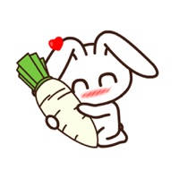 Silence Rabbit