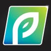 PP Wealth