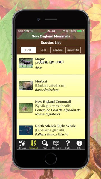 【PIC】New England Mammals(screenshot 1)