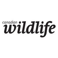 Canadian Wildlife Magazine